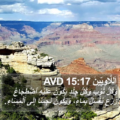 اَللَّاوِيِّينَ 15:17 AVD Bible Verse Image