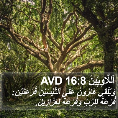 اَللَّاوِيِّينَ 16:8 AVD Bible Verse Image