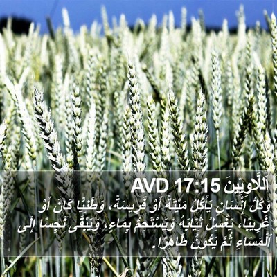 اَللَّاوِيِّينَ 17:15 AVD Bible Verse Image