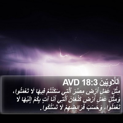 اَللَّاوِيِّينَ 18:3 AVD Bible Verse Image