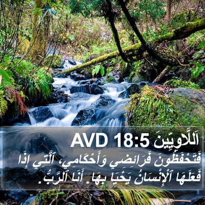 اَللَّاوِيِّينَ 18:5 AVD Bible Verse Image