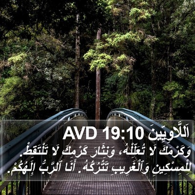اَللَّاوِيِّينَ 19:10 AVD Bible Verse Image