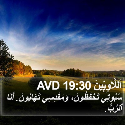 اَللَّاوِيِّينَ 19:30 AVD Bible Verse Image