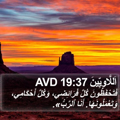 اَللَّاوِيِّينَ 19:37 AVD Bible Verse Image