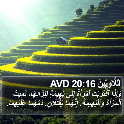 اَللَّاوِيِّينَ 20:16 AVD Bible Verse Image