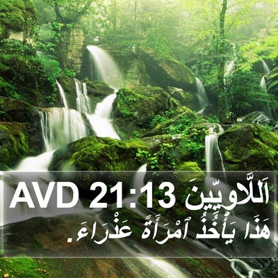 اَللَّاوِيِّينَ 21:13 AVD Bible Verse Image
