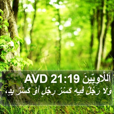 اَللَّاوِيِّينَ 21:19 AVD Bible Verse Image