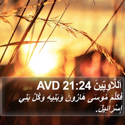 اَللَّاوِيِّينَ 21:24 AVD Bible Verse Image