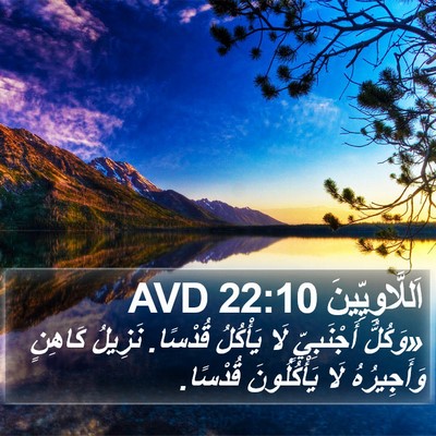 اَللَّاوِيِّينَ 22:10 AVD Bible Verse Image