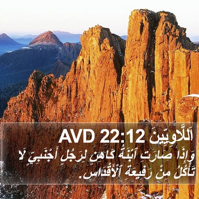 اَللَّاوِيِّينَ 22:12 AVD Bible Verse Image