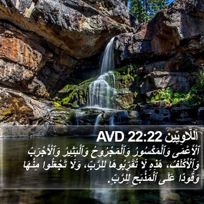 اَللَّاوِيِّينَ 22:22 AVD Bible Verse Image