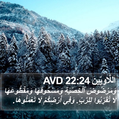 اَللَّاوِيِّينَ 22:24 AVD Bible Verse Image