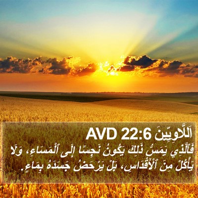 اَللَّاوِيِّينَ 22:6 AVD Bible Verse Image