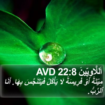 اَللَّاوِيِّينَ 22:8 AVD Bible Verse Image