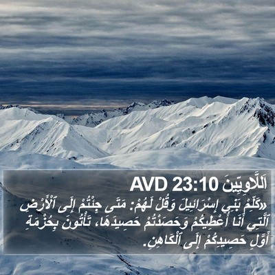 اَللَّاوِيِّينَ 23:10 AVD Bible Verse Image
