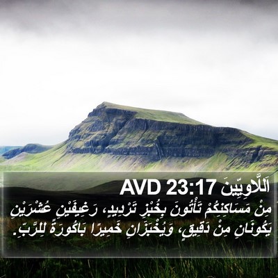 اَللَّاوِيِّينَ 23:17 AVD Bible Verse Image