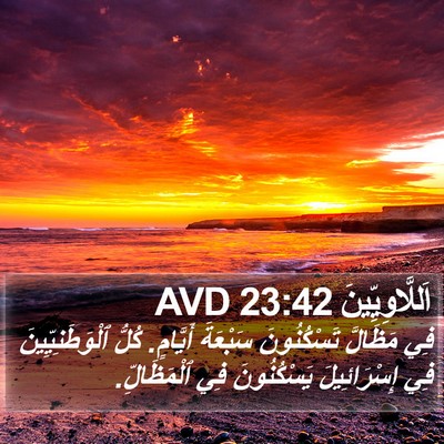 اَللَّاوِيِّينَ 23:42 AVD Bible Verse Image