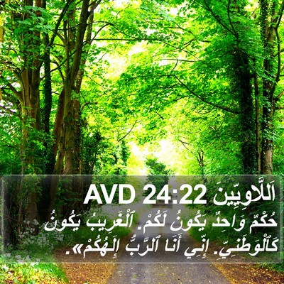اَللَّاوِيِّينَ 24:22 AVD Bible Verse Image