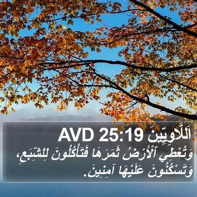 اَللَّاوِيِّينَ 25:19 AVD Bible Verse Image