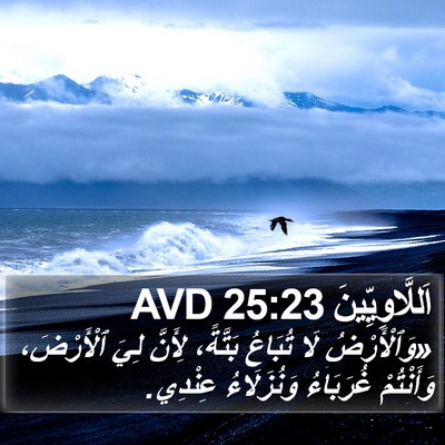 اَللَّاوِيِّينَ 25:23 AVD Bible Verse Image