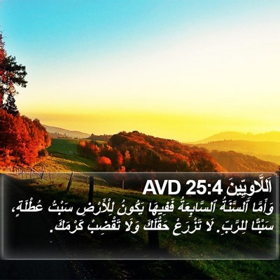 اَللَّاوِيِّينَ 25:4 AVD Bible Verse Image