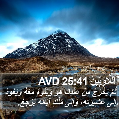 اَللَّاوِيِّينَ 25:41 AVD Bible Verse Image