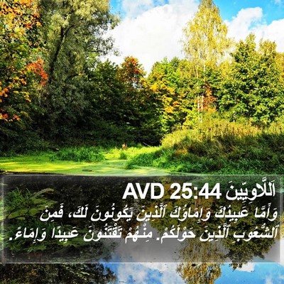 اَللَّاوِيِّينَ 25:44 AVD Bible Verse Image