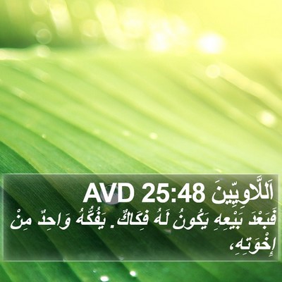 اَللَّاوِيِّينَ 25:48 AVD Bible Verse Image