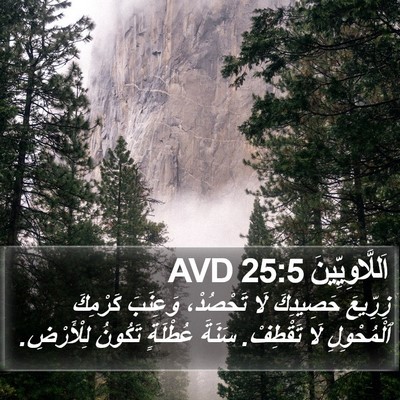 اَللَّاوِيِّينَ 25:5 AVD Bible Verse Image