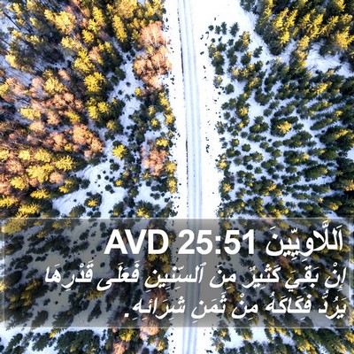 اَللَّاوِيِّينَ 25:51 AVD Bible Verse Image