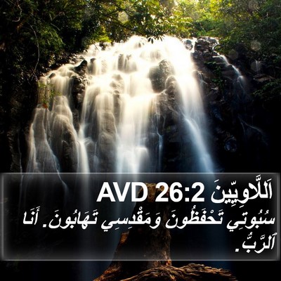 اَللَّاوِيِّينَ 26:2 AVD Bible Verse Image