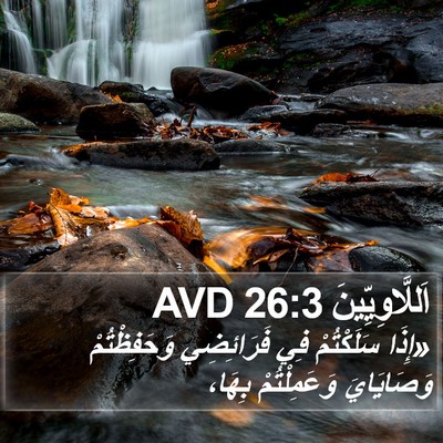 اَللَّاوِيِّينَ 26:3 AVD Bible Verse Image