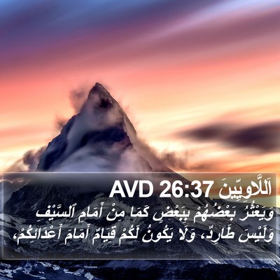 اَللَّاوِيِّينَ 26:37 AVD Bible Verse Image