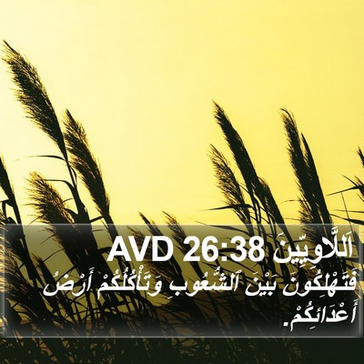 اَللَّاوِيِّينَ 26:38 AVD Bible Verse Image