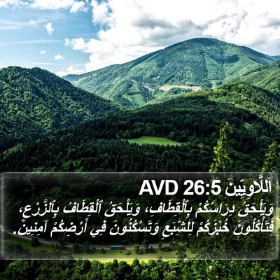 اَللَّاوِيِّينَ 26:5 AVD Bible Verse Image