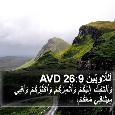 اَللَّاوِيِّينَ 26:9 AVD Bible Verse Image