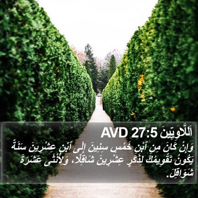 اَللَّاوِيِّينَ 27:5 AVD Bible Verse Image