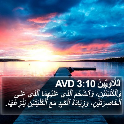اَللَّاوِيِّينَ 3:10 AVD Bible Verse Image