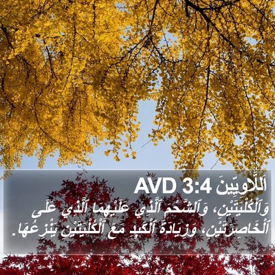 اَللَّاوِيِّينَ 3:4 AVD Bible Verse Image