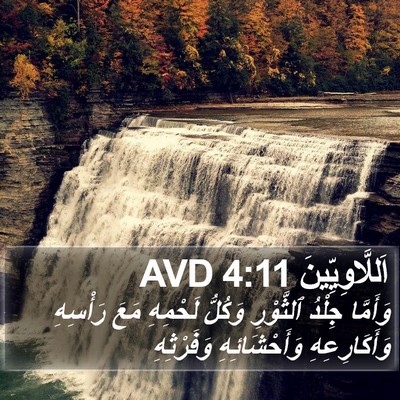 اَللَّاوِيِّينَ 4:11 AVD Bible Verse Image