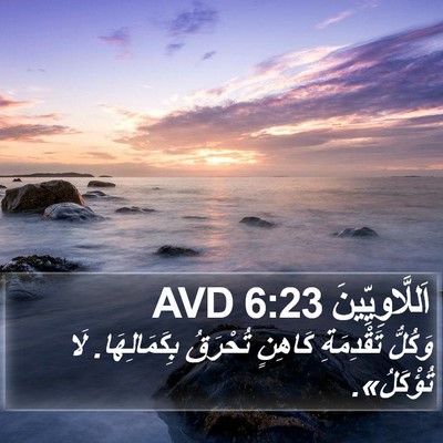 اَللَّاوِيِّينَ 6:23 AVD Bible Verse Image