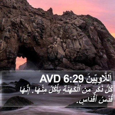 اَللَّاوِيِّينَ 6:29 AVD Bible Verse Image