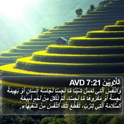 اَللَّاوِيِّينَ 7:21 AVD Bible Verse Image