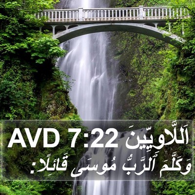 اَللَّاوِيِّينَ 7:22 AVD Bible Verse Image