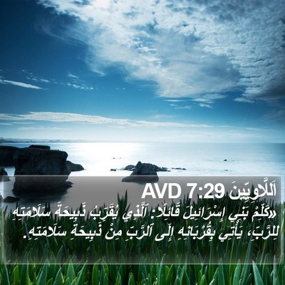 اَللَّاوِيِّينَ 7:29 AVD Bible Verse Image