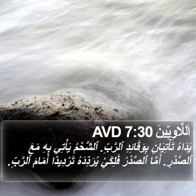اَللَّاوِيِّينَ 7:30 AVD Bible Verse Image