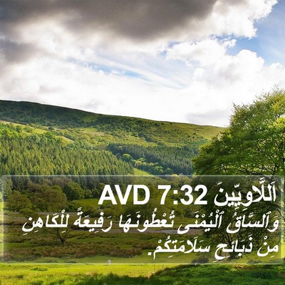 اَللَّاوِيِّينَ 7:32 AVD Bible Verse Image