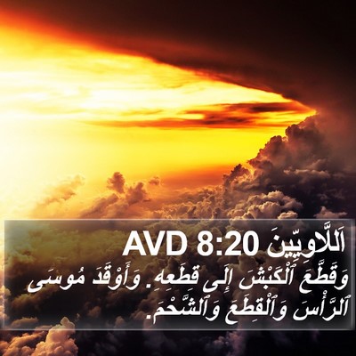 اَللَّاوِيِّينَ 8:20 AVD Bible Verse Image