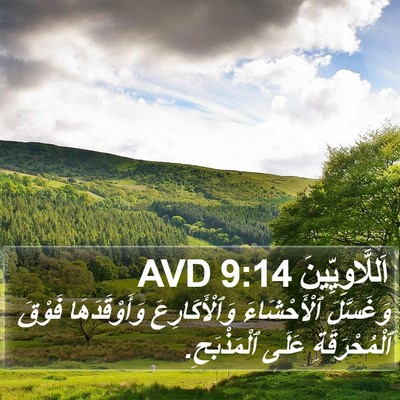اَللَّاوِيِّينَ 9:14 AVD Bible Verse Image