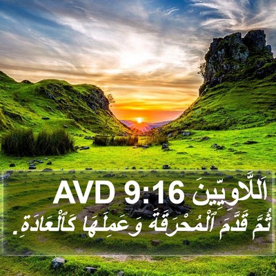 اَللَّاوِيِّينَ 9:16 AVD Bible Verse Image